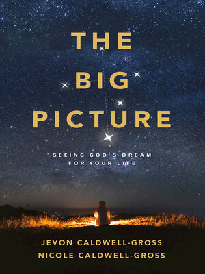 cover image of The Big Picture